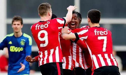 早期适应场 早期适应场