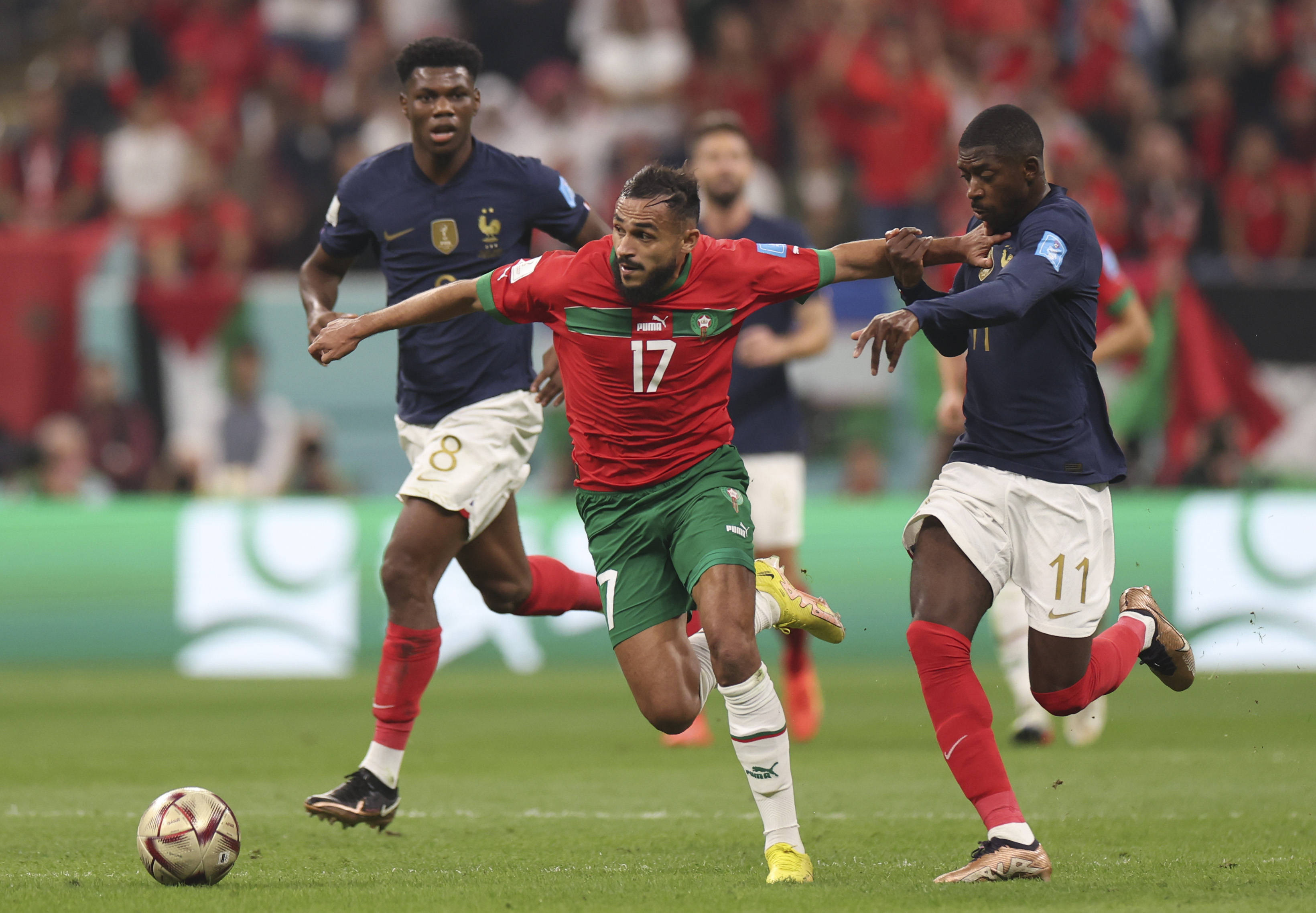 命的主教练 命的主教练