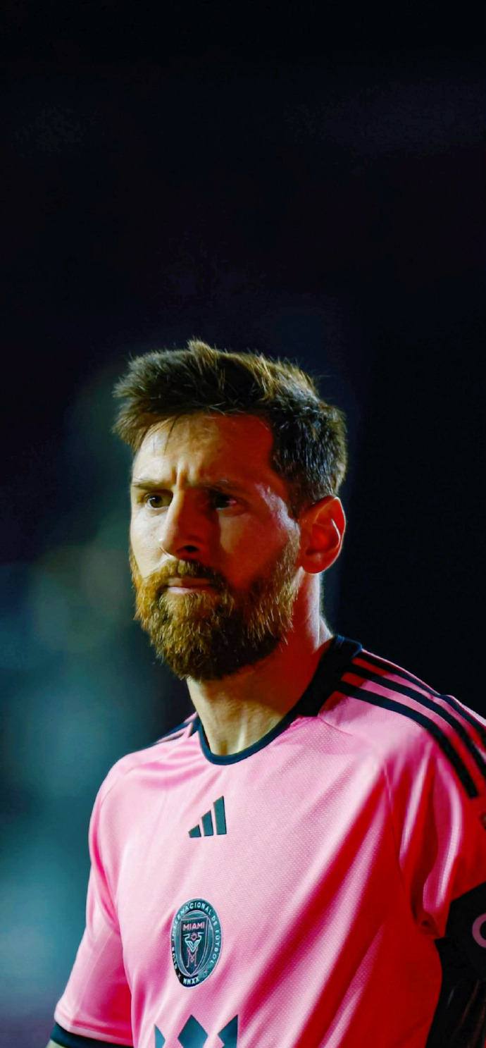 精神境界 精神境界